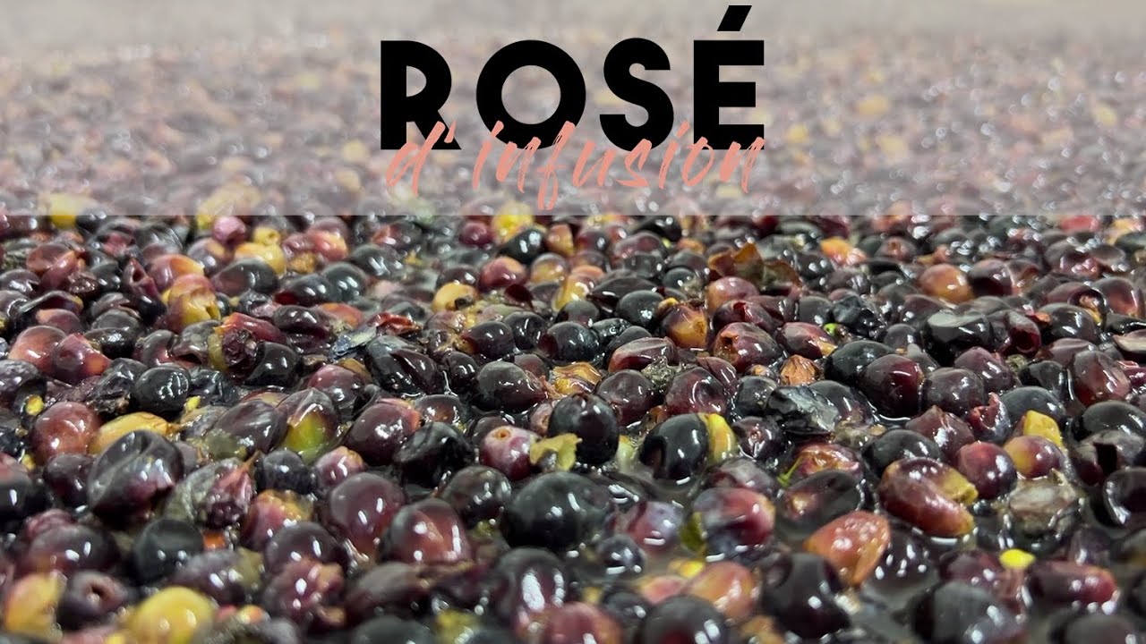 Champagne Oudiette - Rosé d'Infusion